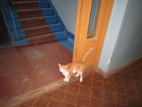 ForoFakt280812 (1)